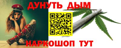 крисы Партизанск