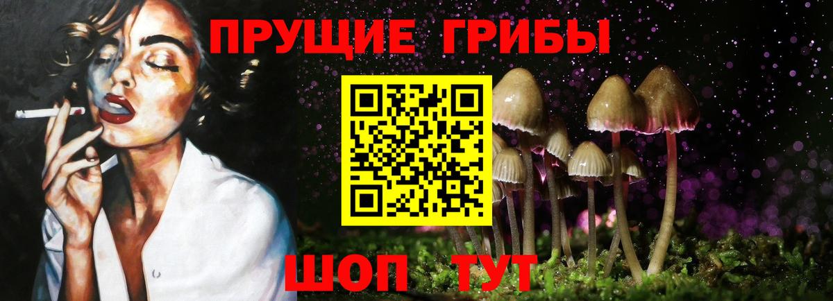 купить наркотик  Вход с VPN  Сургут  Псилоцибиновые грибы GOLDEN TEACHER  Галлюциногенные грибы Psilocybe 